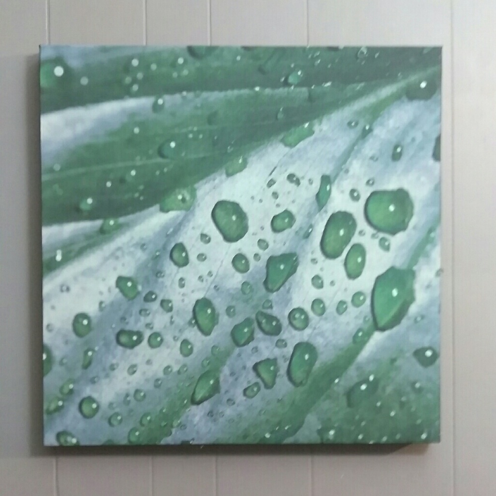 Wall Art Decor for home